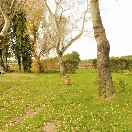 Holiday home Mas Des Cypres, Clim - Jardin En Camargue *