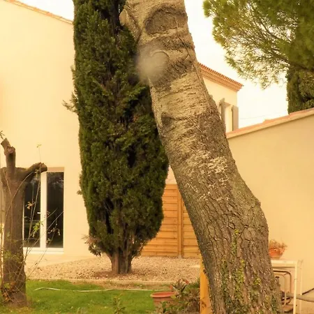 Mas Des Cypres, Clim - Jardin En Camargue Holiday home Arles